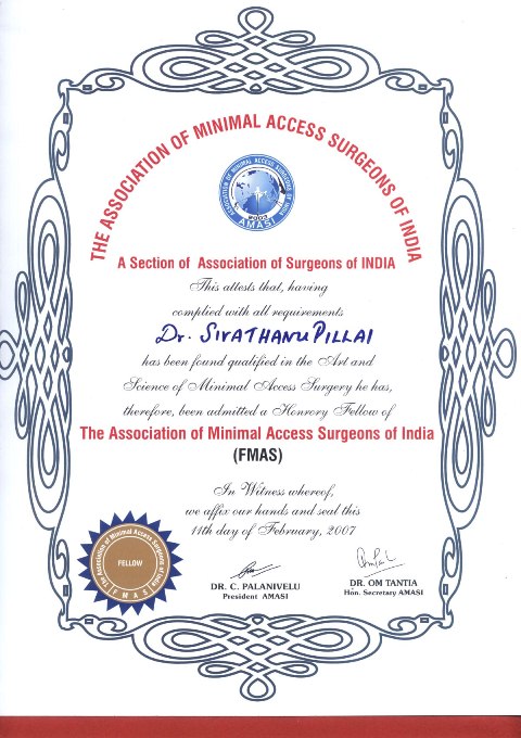 Honorary Fellowship in Minimal Access Surgery (FMAS)